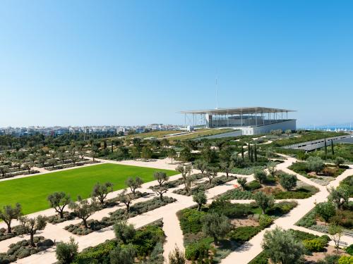 Mediterranean roof garden with olive trees